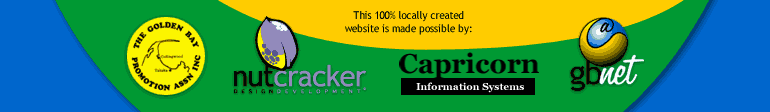 this site made possible by: The Golden Bay Promotion Assn Inc, Nutcracker Design & Development, Capricorn Information Systems and gbnet